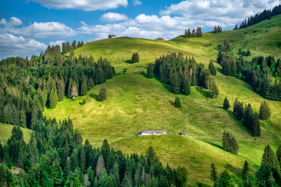 Landscape drift